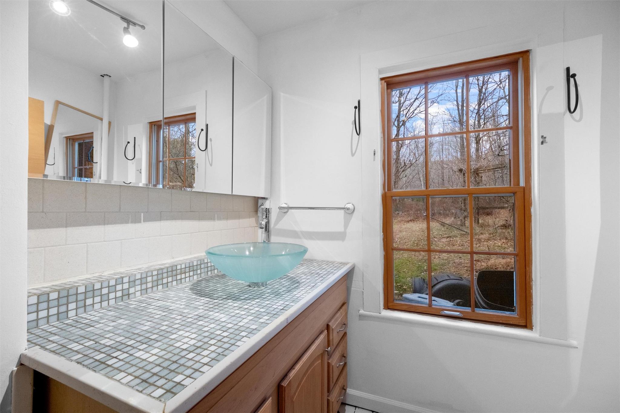 Single Family Mountain Rest  Ulster County, NY 12561, MLS-833795-16