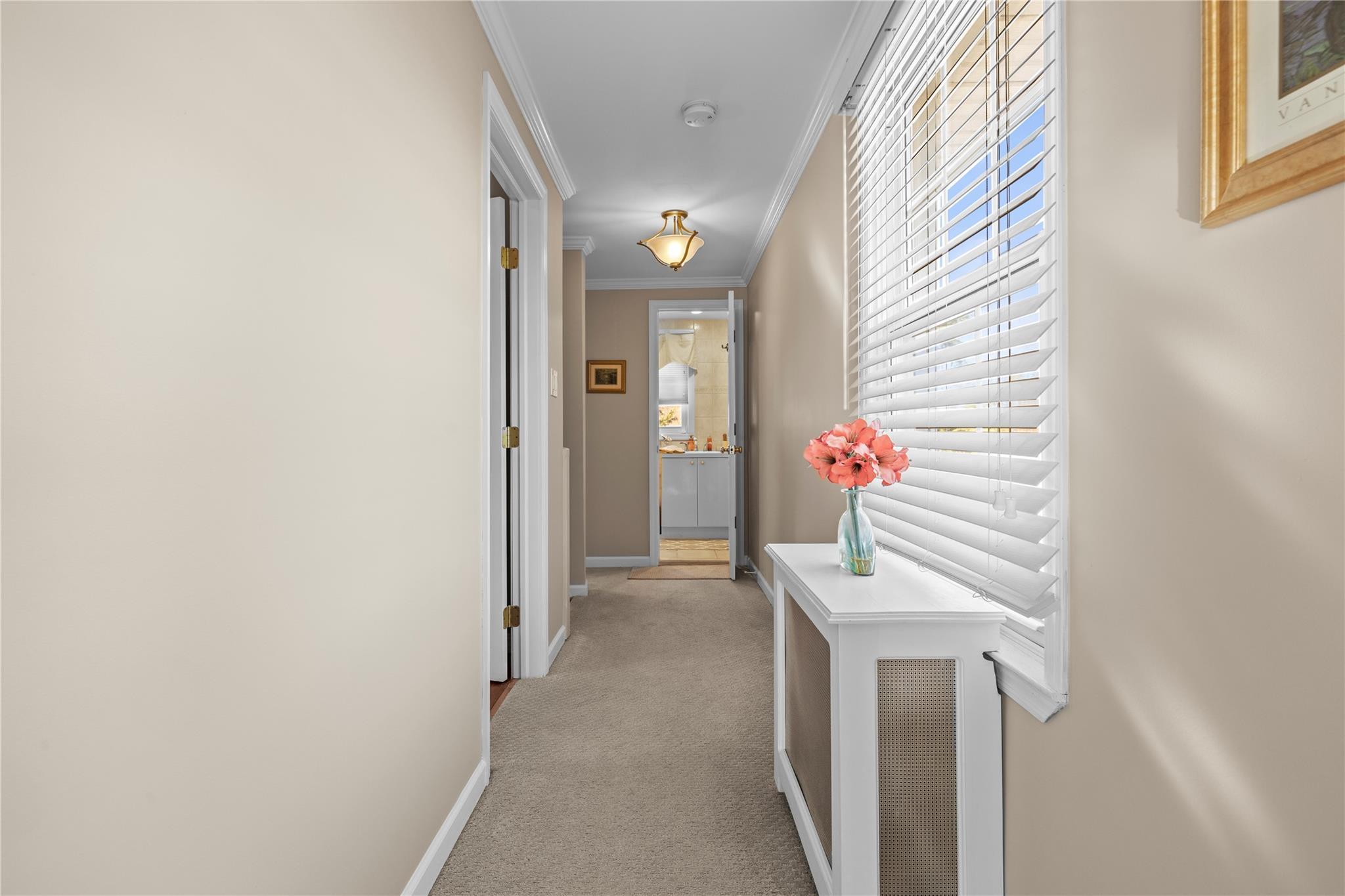 Single Family Thrush  Nassau County, NY 11552, MLS-833896-23