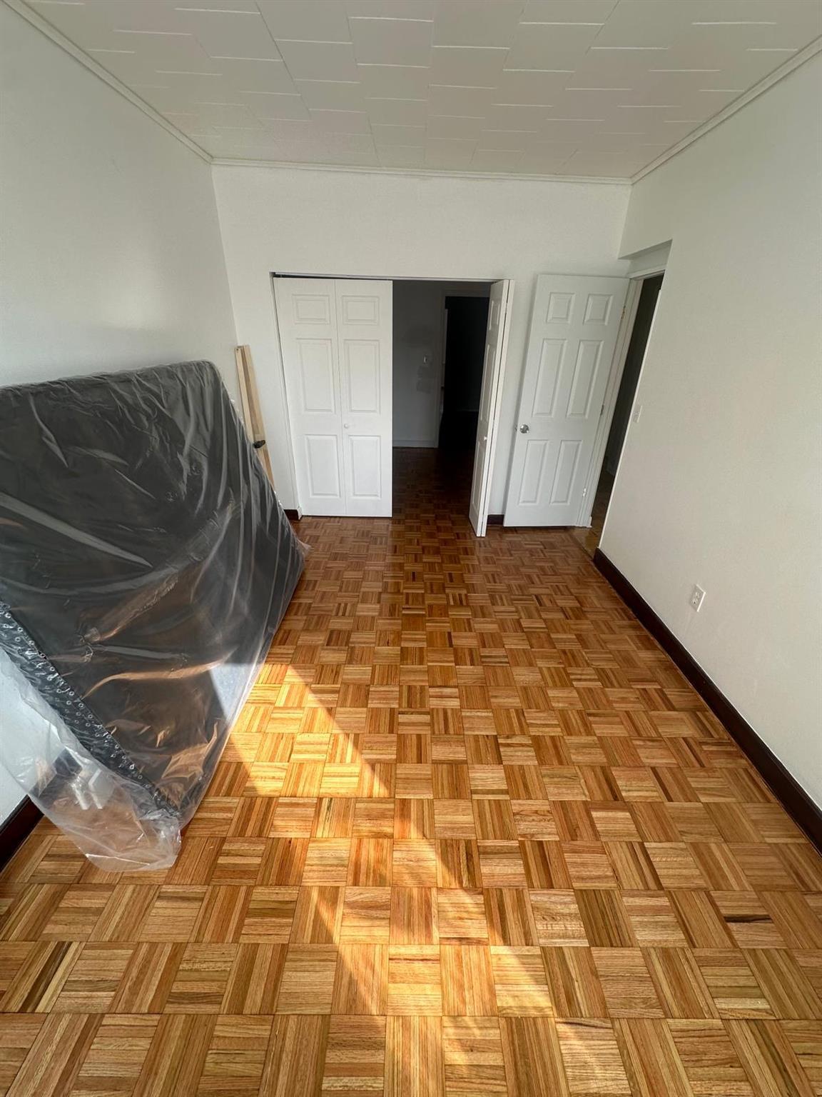 Apartment Hemlock  Brooklyn, NY 11208, MLS-834266-5