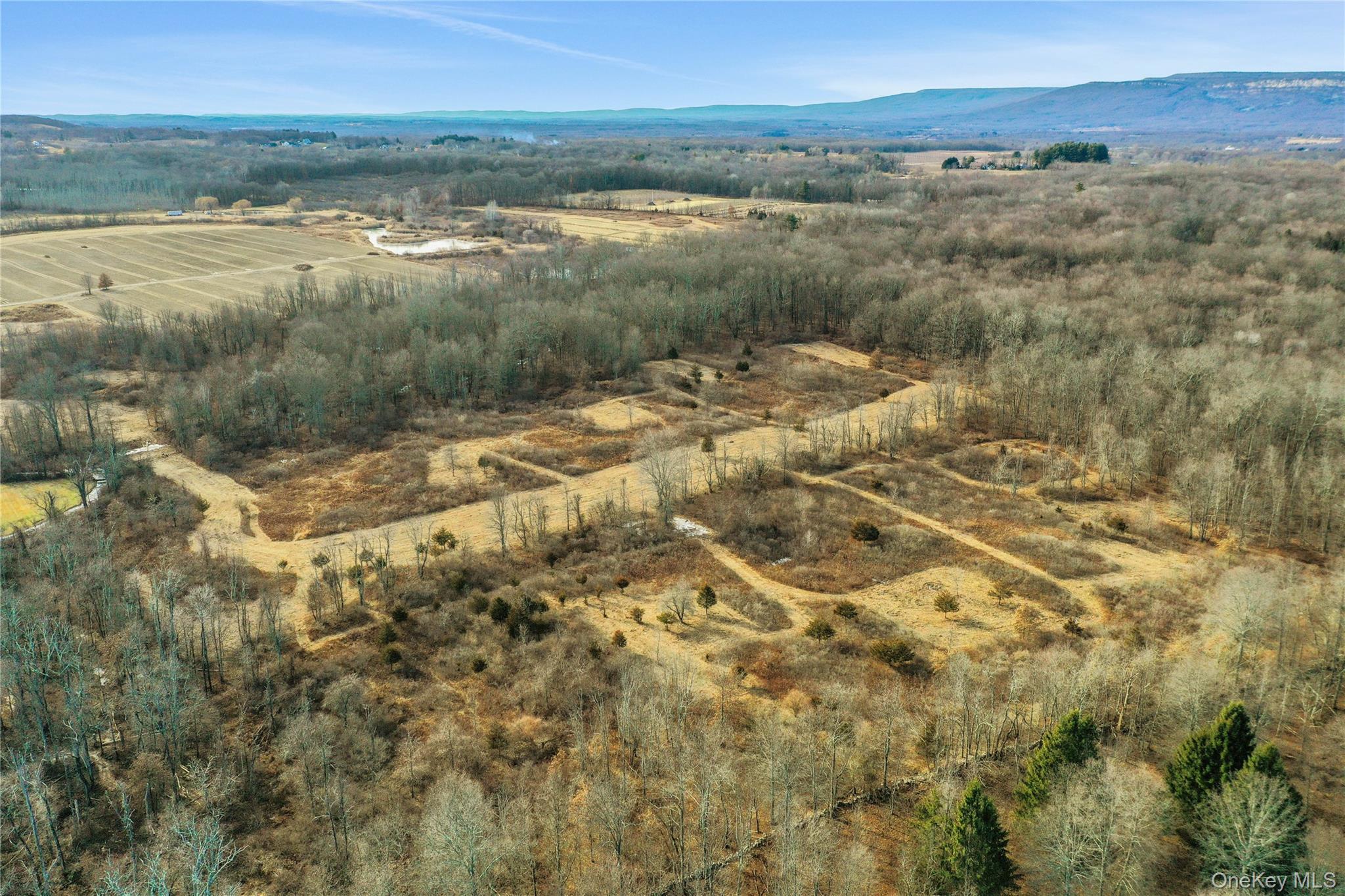 Single Family Scenic Meadow Ulster County, NY 12525, MLS-834536-18