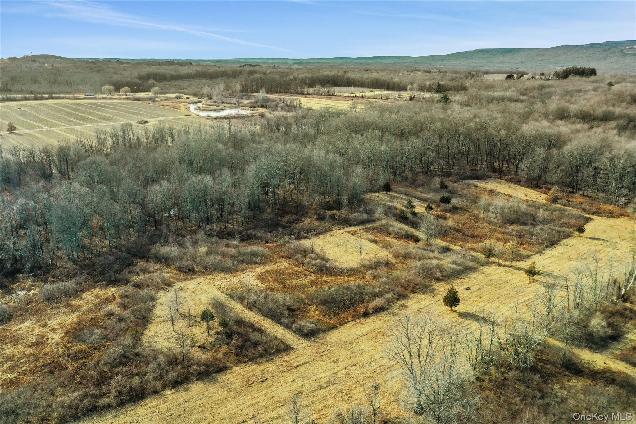 Single Family Scenic Meadow  Ulster County, NY 12525, MLS-834536-24