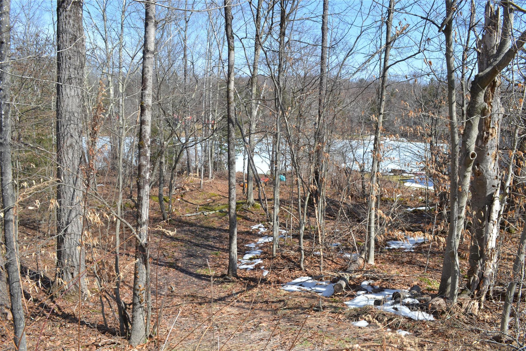 Single Family Trout Brook  Sullivan County, NY 12776, MLS-834695-25