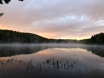 Single Family Trout Brook  Sullivan County, NY 12776, MLS-834695-35