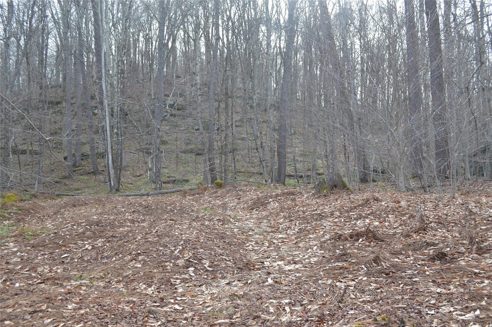 Single Family Trout Brook  Sullivan County, NY 12776, MLS-834695-7