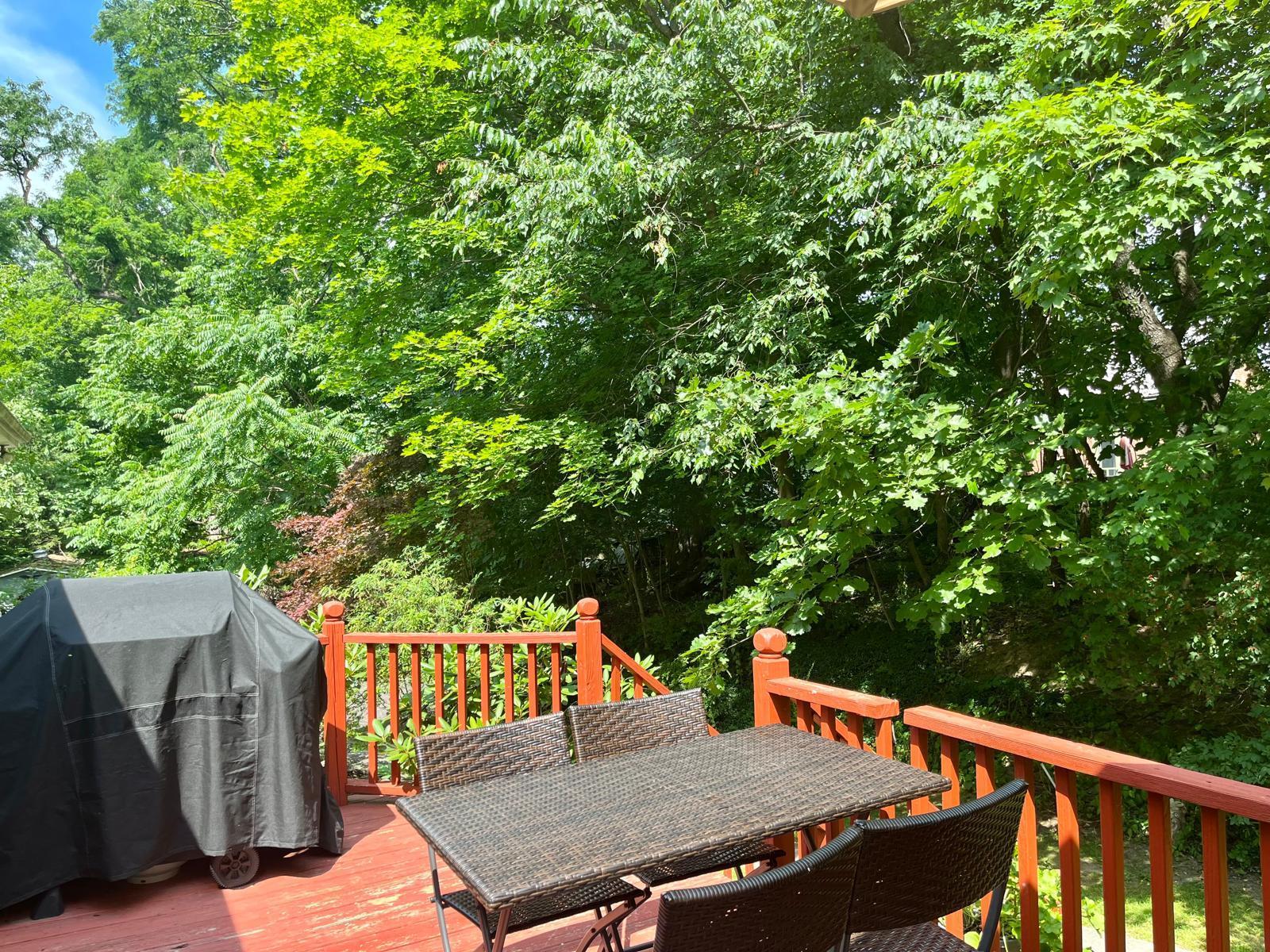 Single Family Ohio  Ulster County, NY 12401, MLS-834746-23