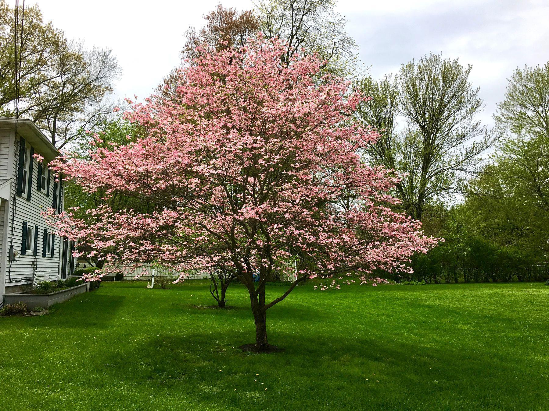 Single Family Mary  Ulster County, NY 12449, MLS-835275-33