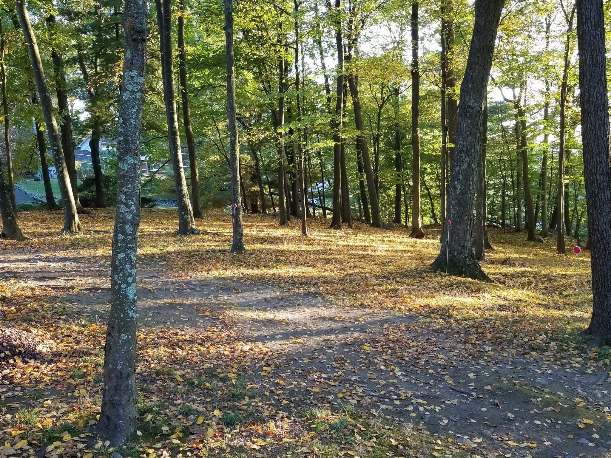 Single Family Rodman  Rockland County, NY 10977, MLS-835404-28