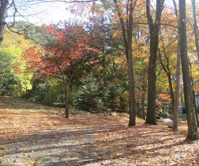 Single Family Rodman  Rockland County, NY 10977, MLS-835404-29