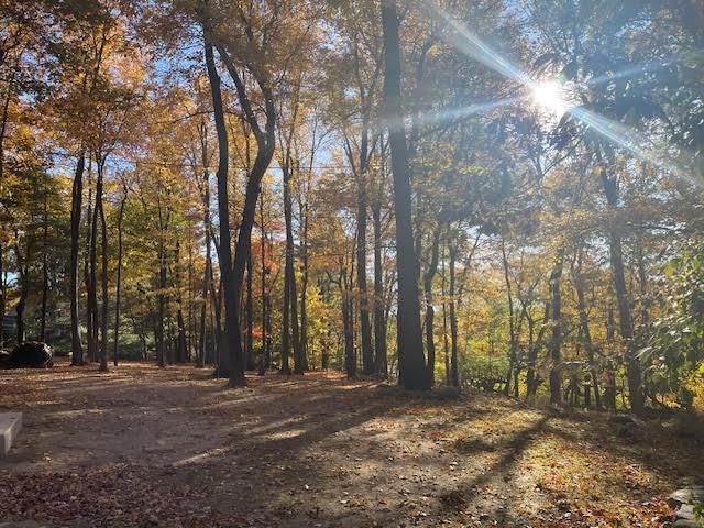 Single Family Rodman  Rockland County, NY 10977, MLS-835404-33