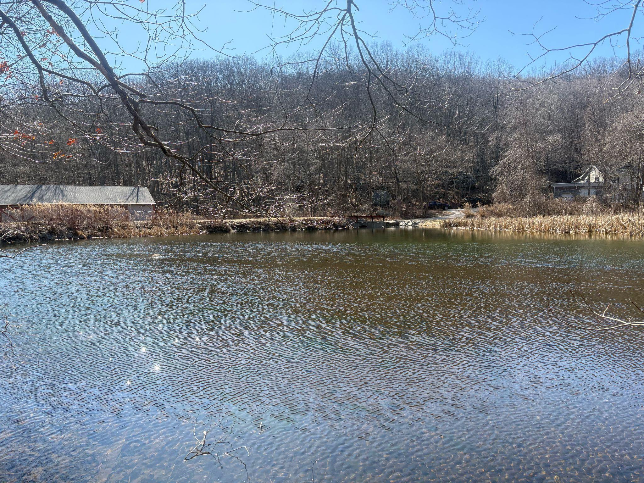 Single Family Colonel  Putnam County, NY 12531, MLS-835921-3