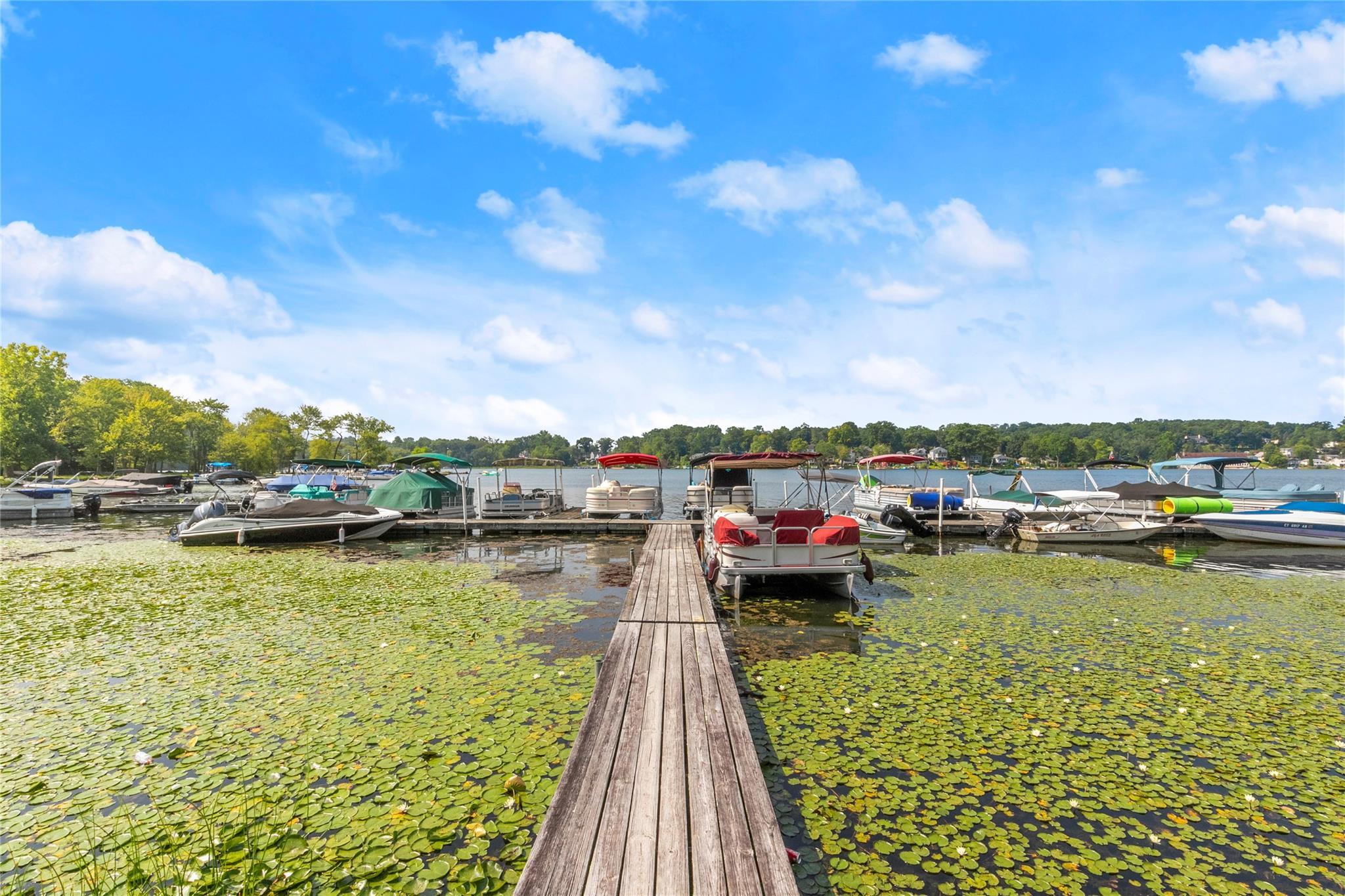Single Family Terrace  Westchester County, NY 10560, MLS-836036-35