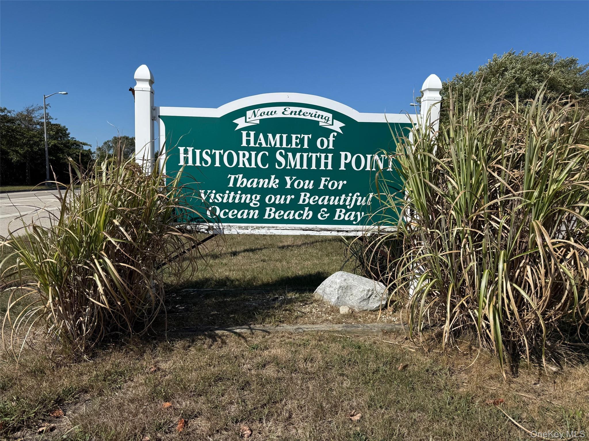 Single Family Pine Tree  Suffolk County, NY 11967, MLS-836155-23