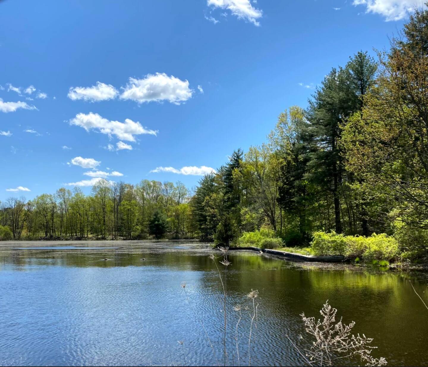Single Family James Clark  Orange County, NY 10940, MLS-836242-27