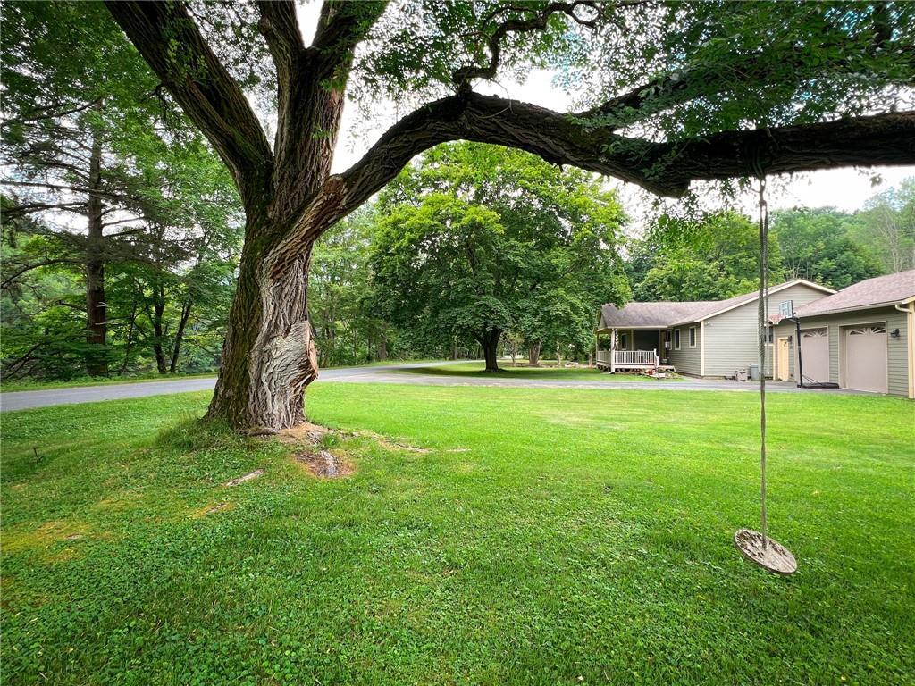 Single Family Cooks Falls  Delaware County, NY 12776, MLS-836386-3