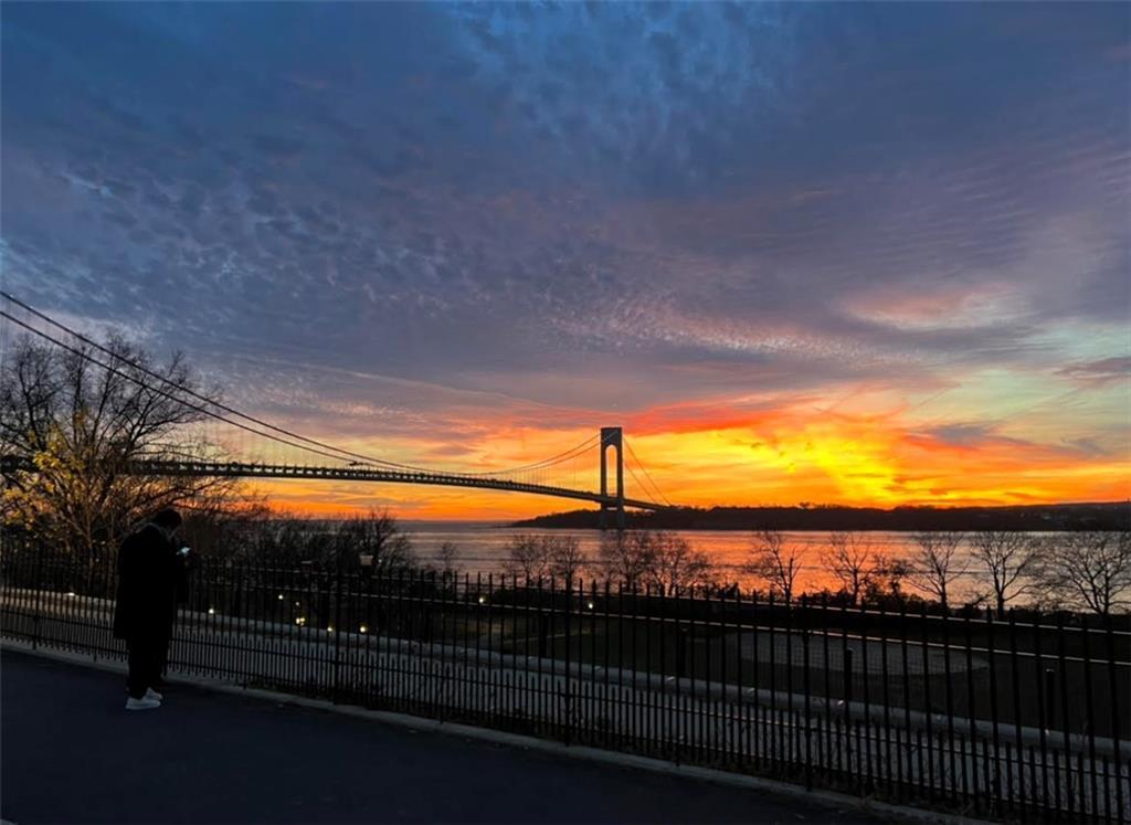 Coop Shore  Brooklyn, NY 11209, MLS-836484-17