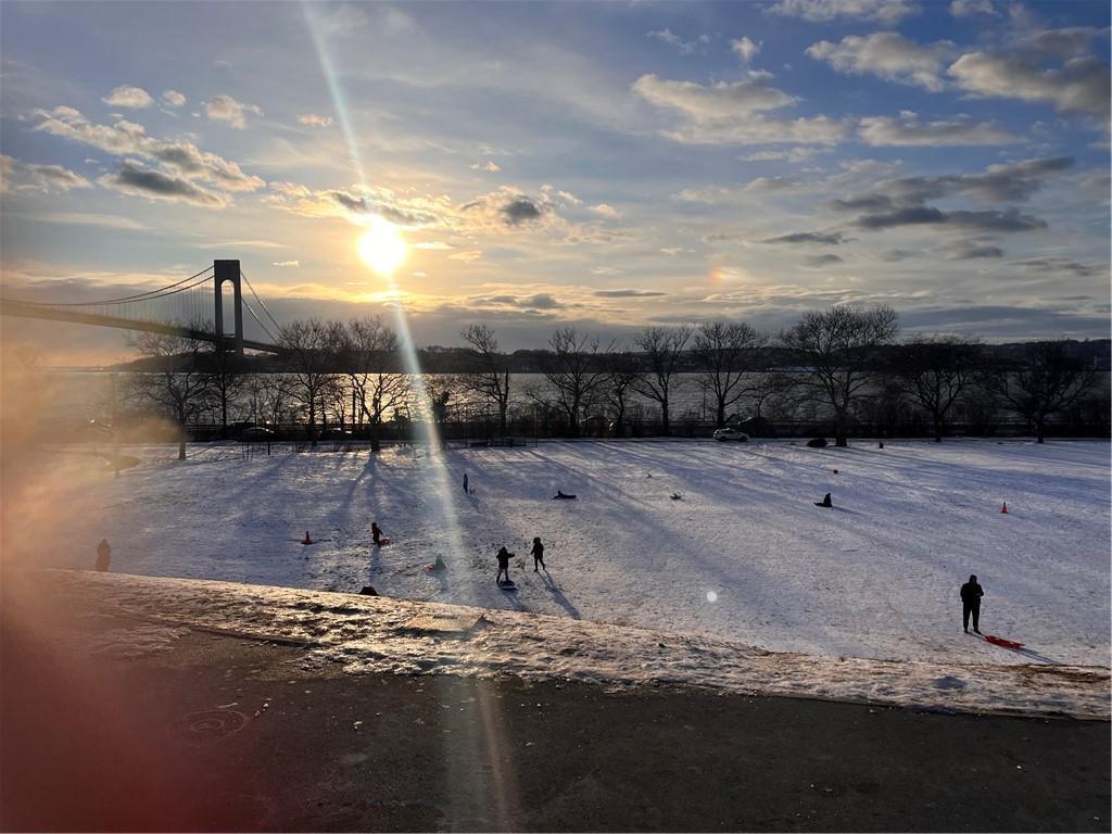 Coop Shore  Brooklyn, NY 11209, MLS-836484-19
