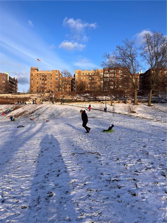 Coop Shore  Brooklyn, NY 11209, MLS-836484-21