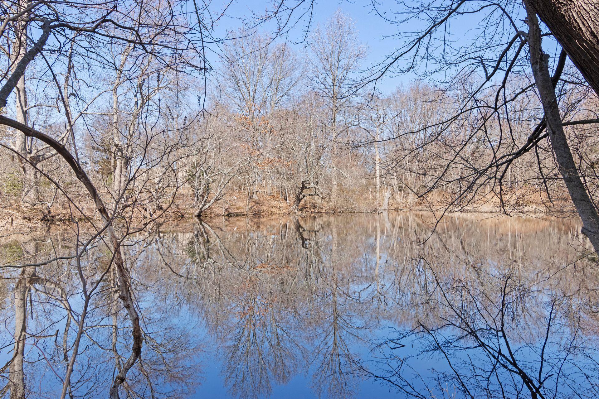 Single Family Harrison  Suffolk County, NY 11788, MLS-836510-24