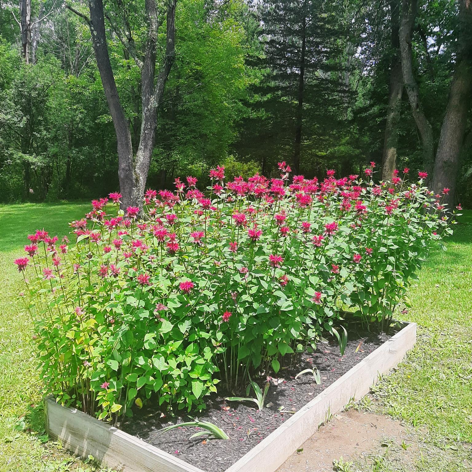Single Family State Route 207  Orange County, NY 10916, MLS-836630-31