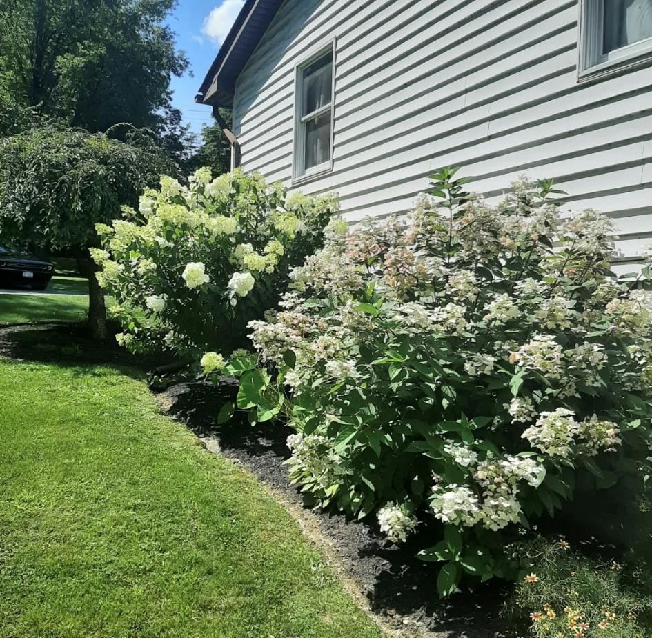 Single Family State Route 207  Orange County, NY 10916, MLS-836630-32