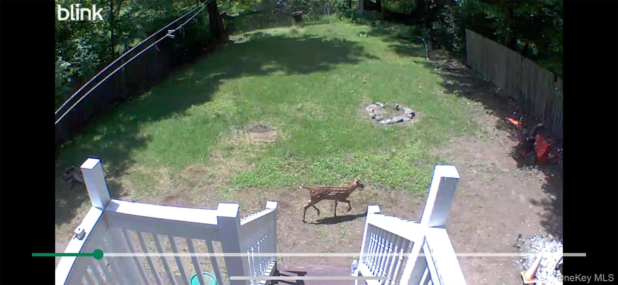 Single Family Menges Sullivan County, NY 12758, MLS-836712-20