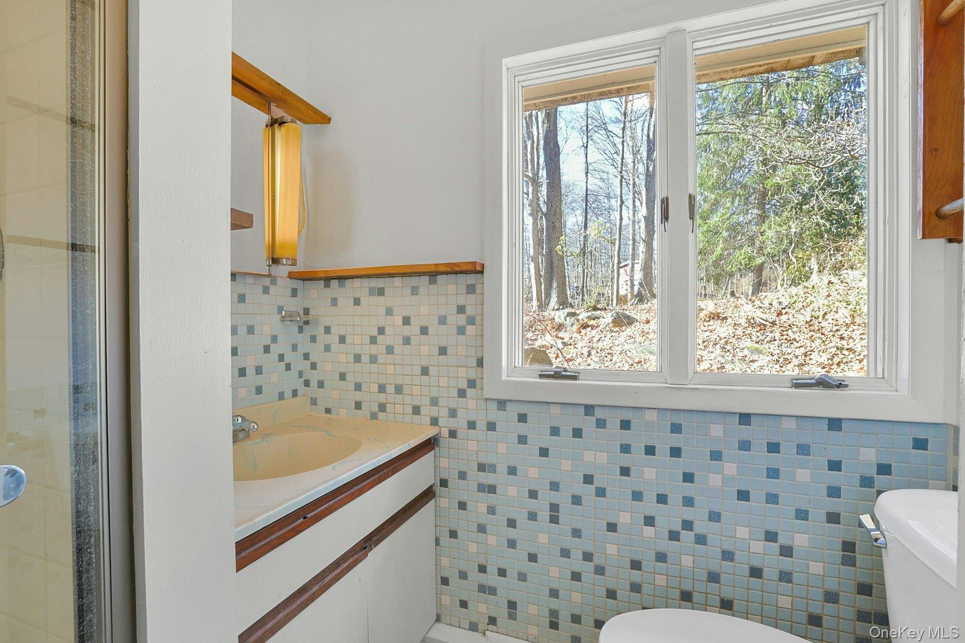 Single Family Mountain  Westchester County, NY 10520, MLS-836720-14