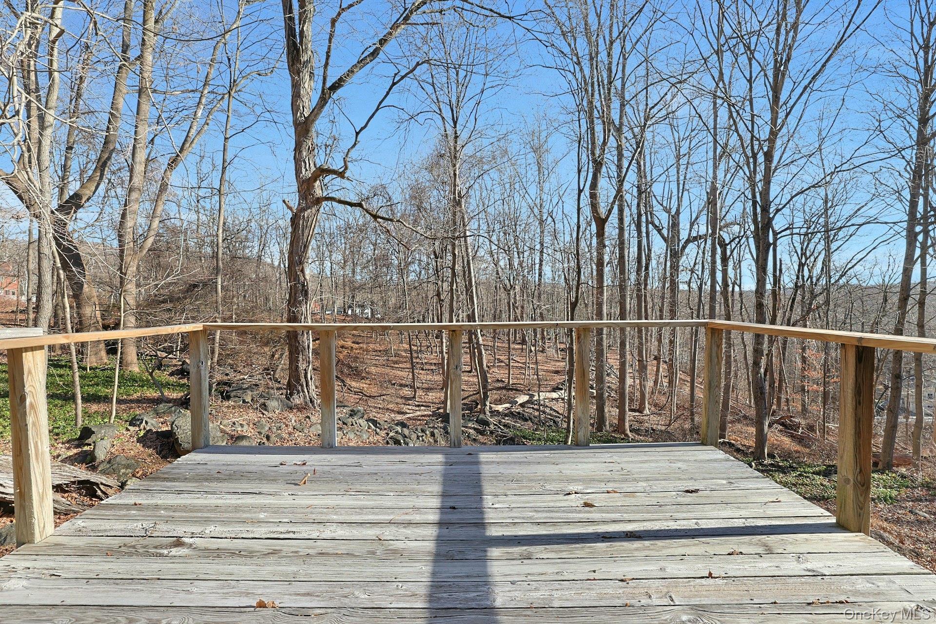 Single Family Mountain  Westchester County, NY 10520, MLS-836720-22