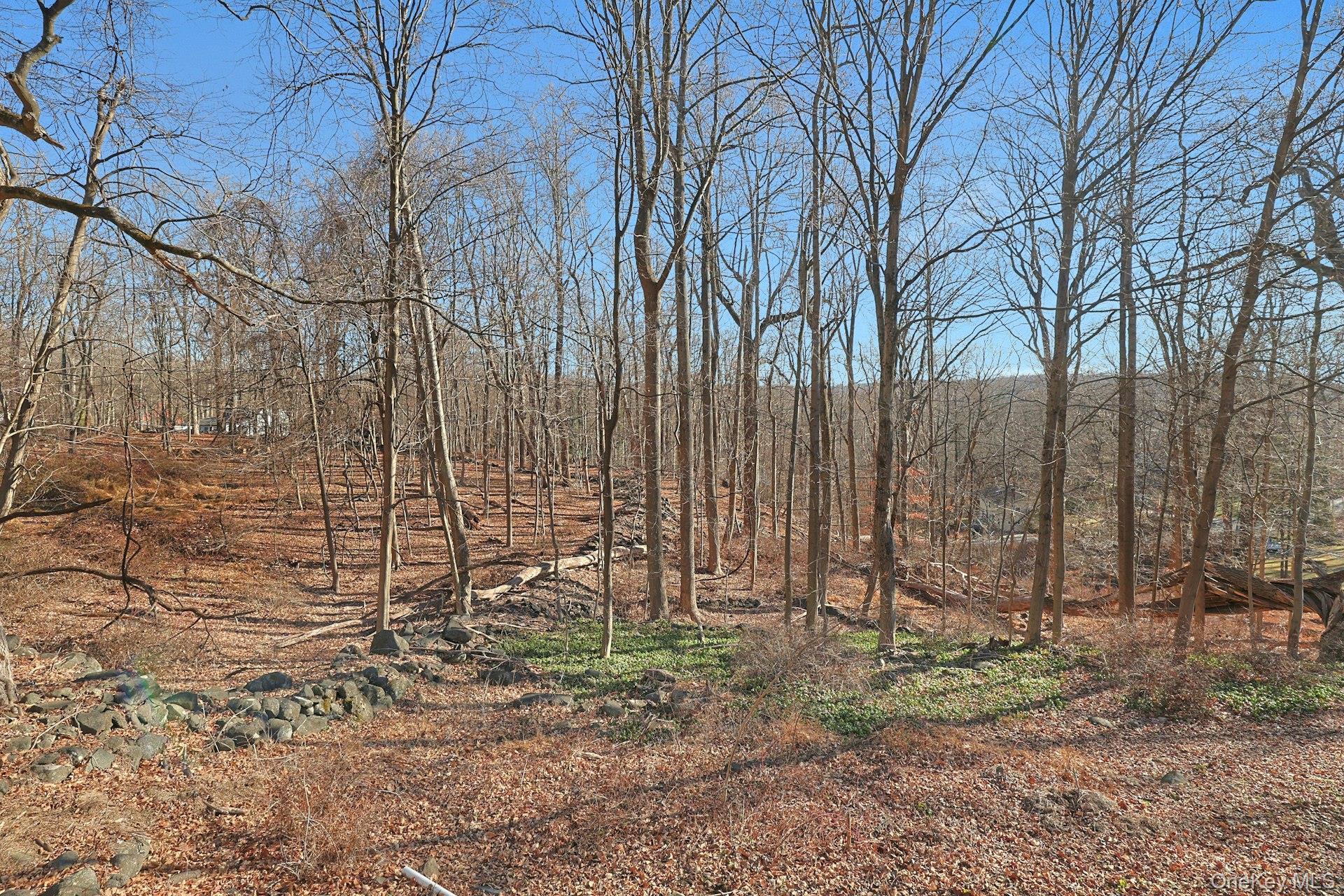 Single Family Mountain  Westchester County, NY 10520, MLS-836720-23