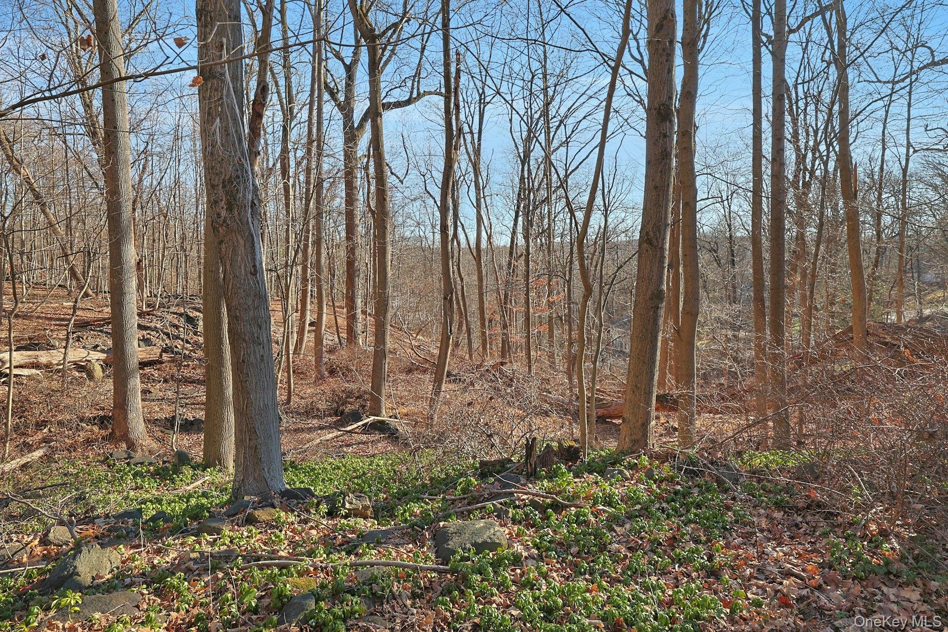 Single Family Mountain  Westchester County, NY 10520, MLS-836720-24