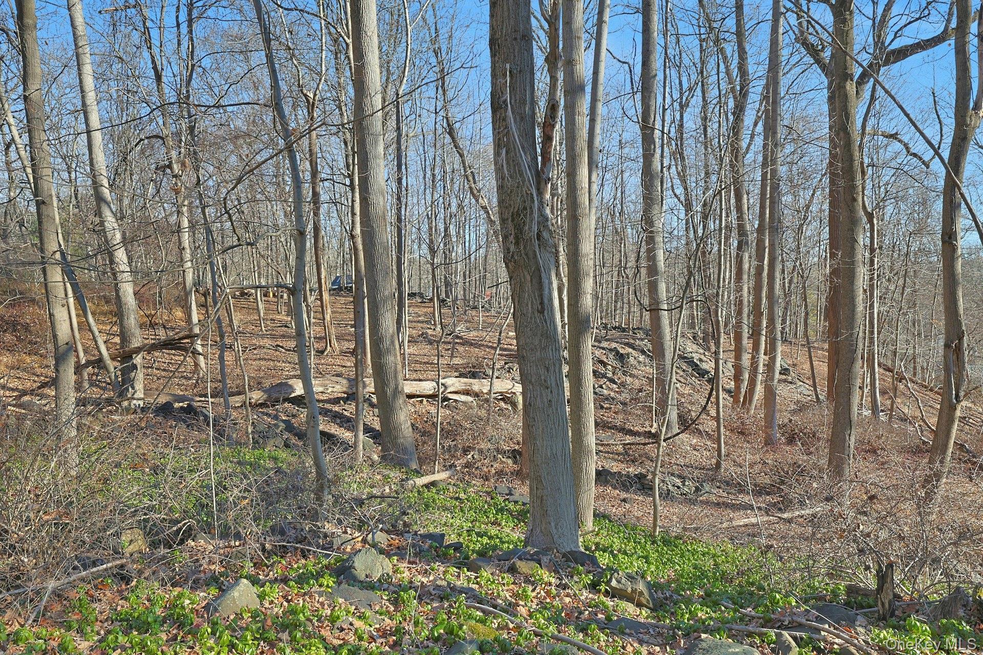 Single Family Mountain  Westchester County, NY 10520, MLS-836720-25