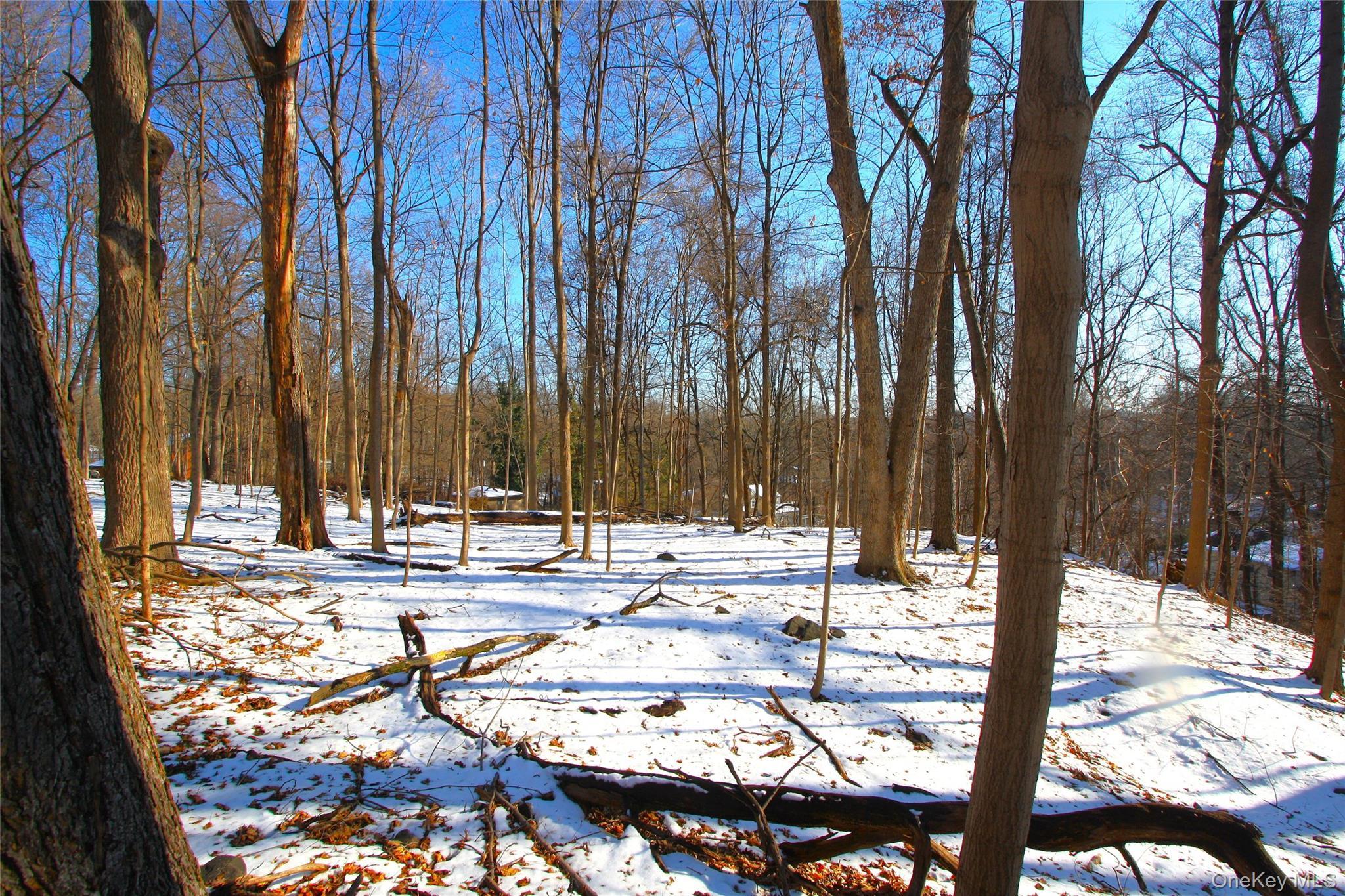 Single Family Mountain  Westchester County, NY 10520, MLS-836720-32