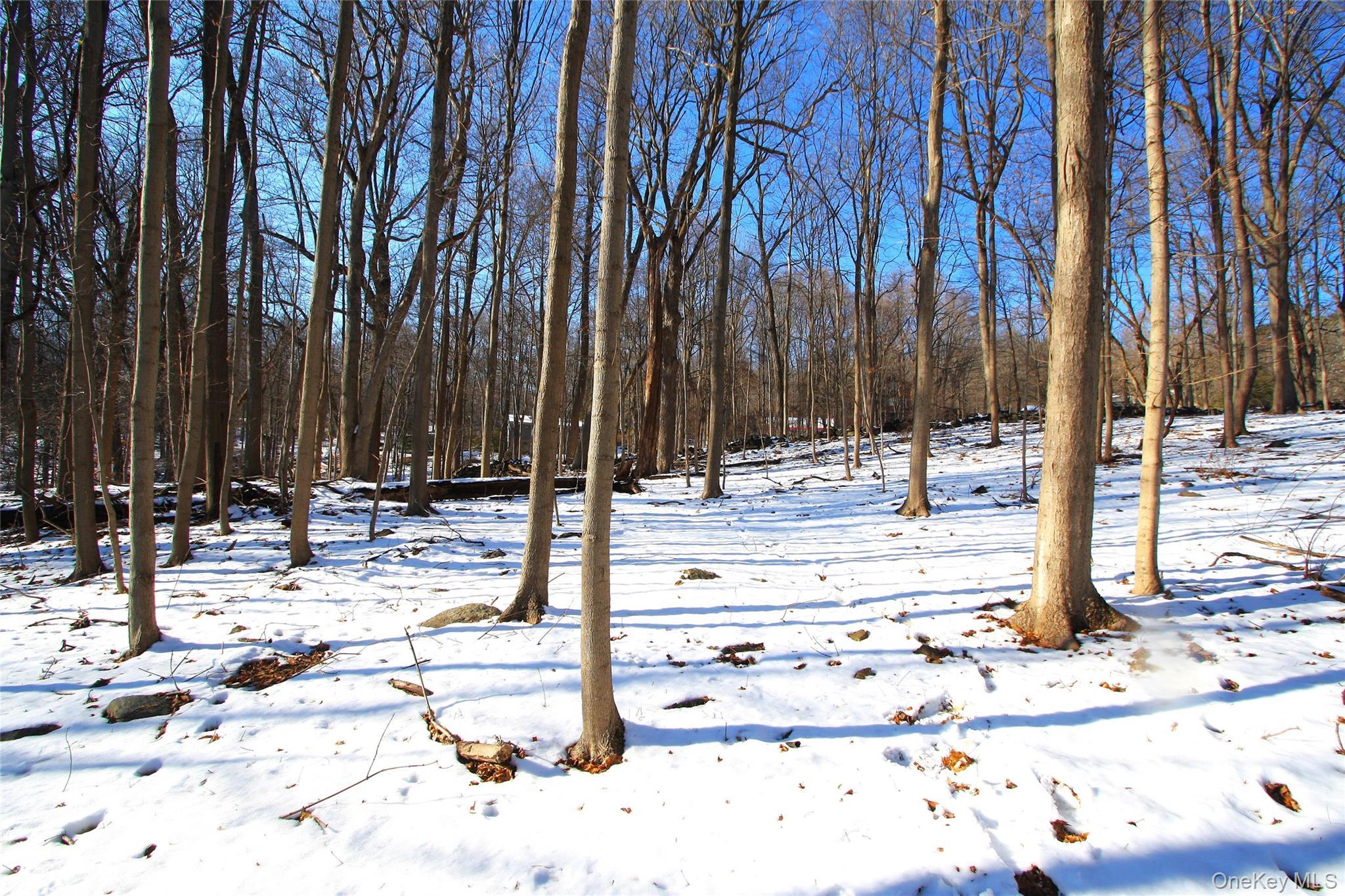 Single Family Mountain  Westchester County, NY 10520, MLS-836720-33