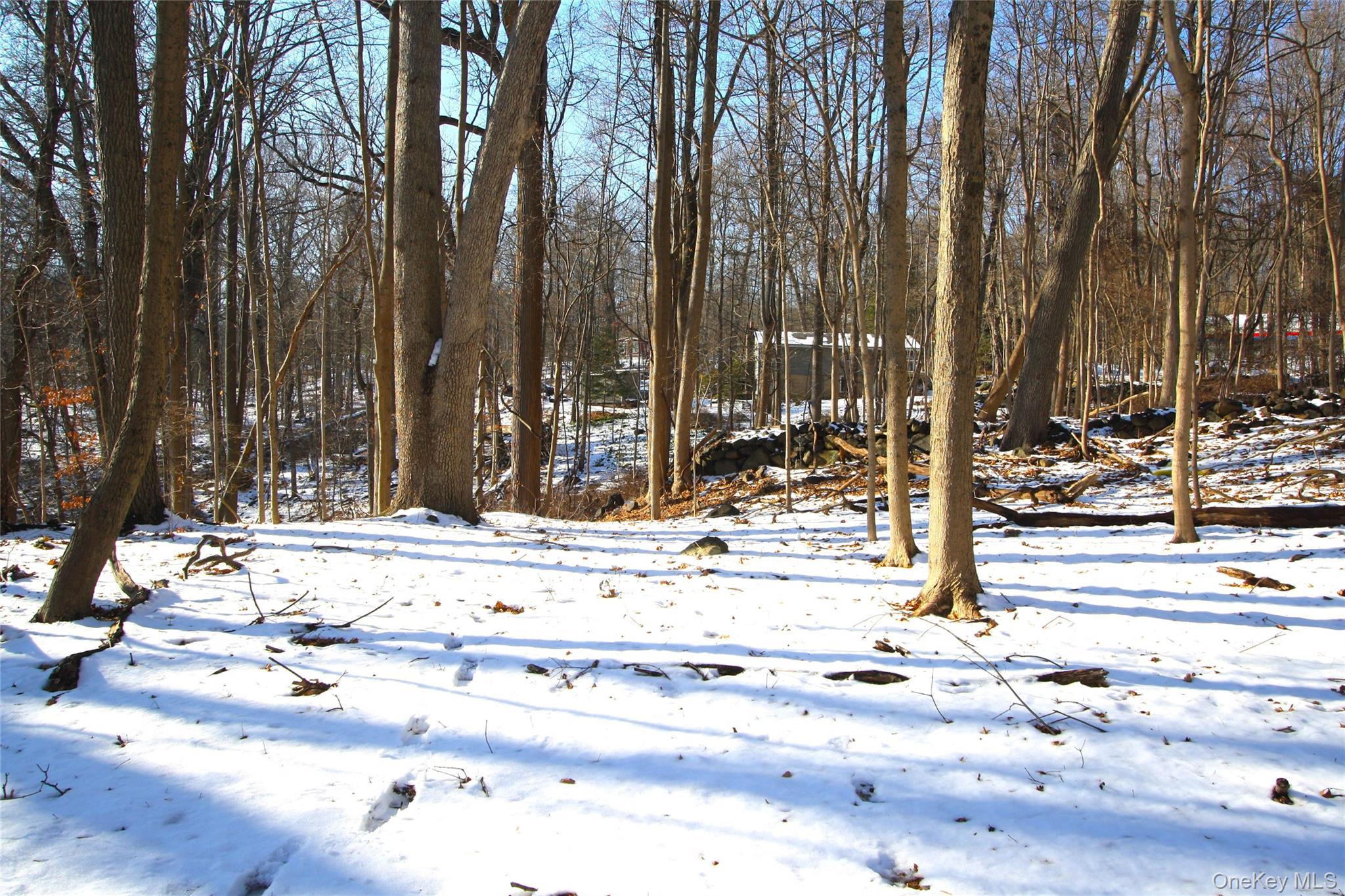 Single Family Mountain  Westchester County, NY 10520, MLS-836720-34