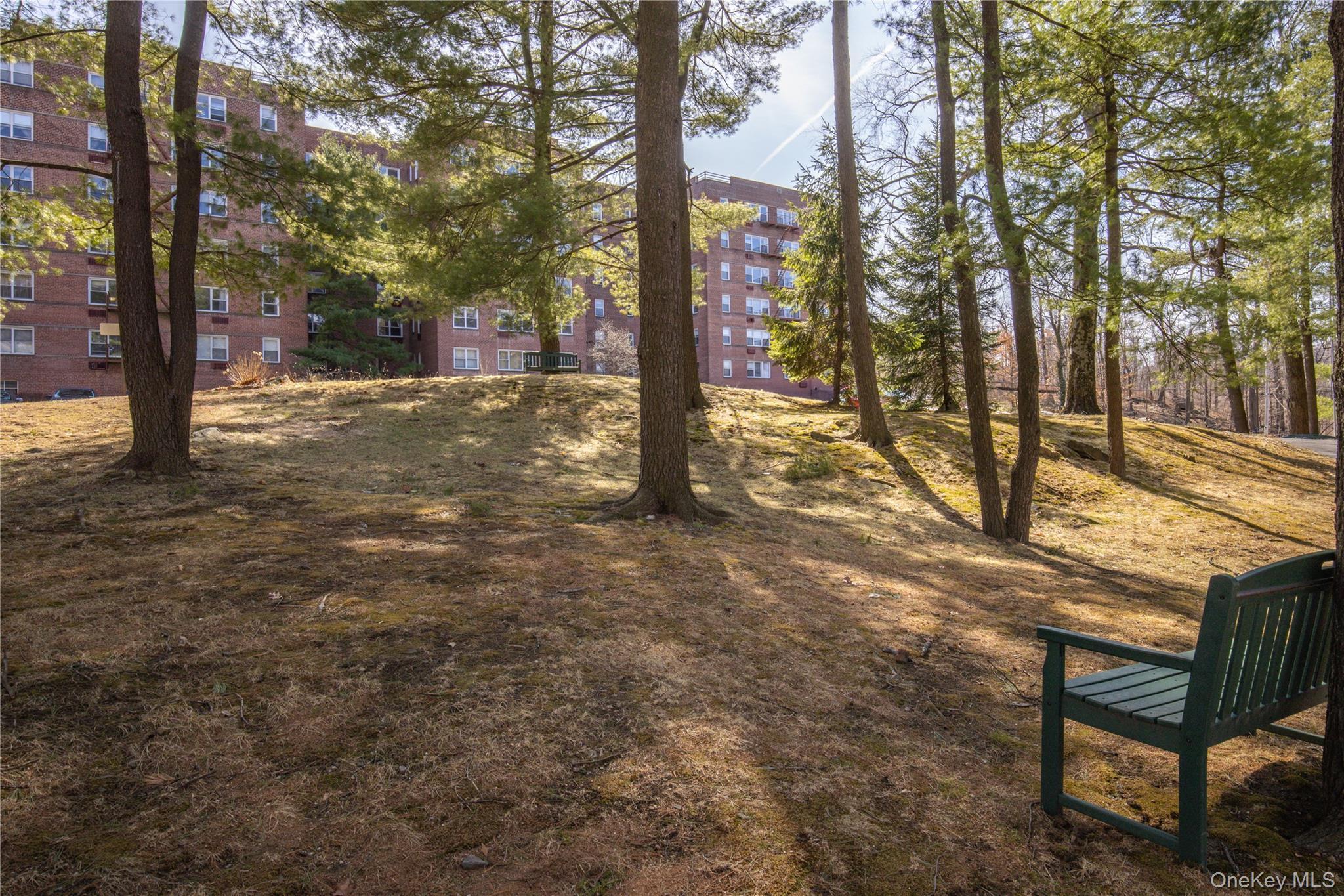 Coop Palmer Rd Westchester County, NY 10701, MLS-836985-20