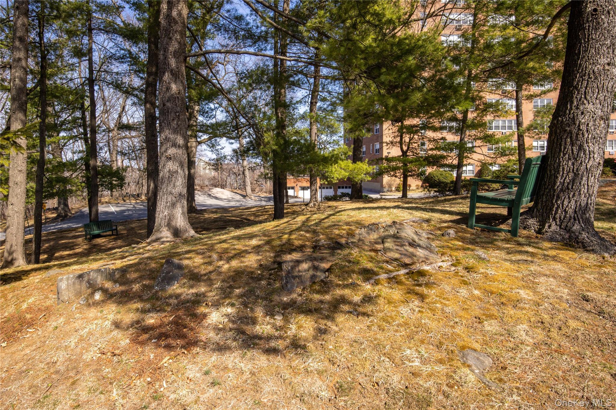 Coop Palmer Rd Westchester County, NY 10701, MLS-836985-22