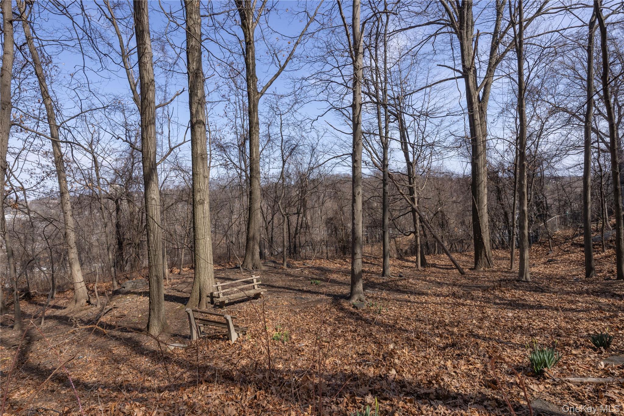 Coop Palmer Rd  Westchester County, NY 10701, MLS-836985-23