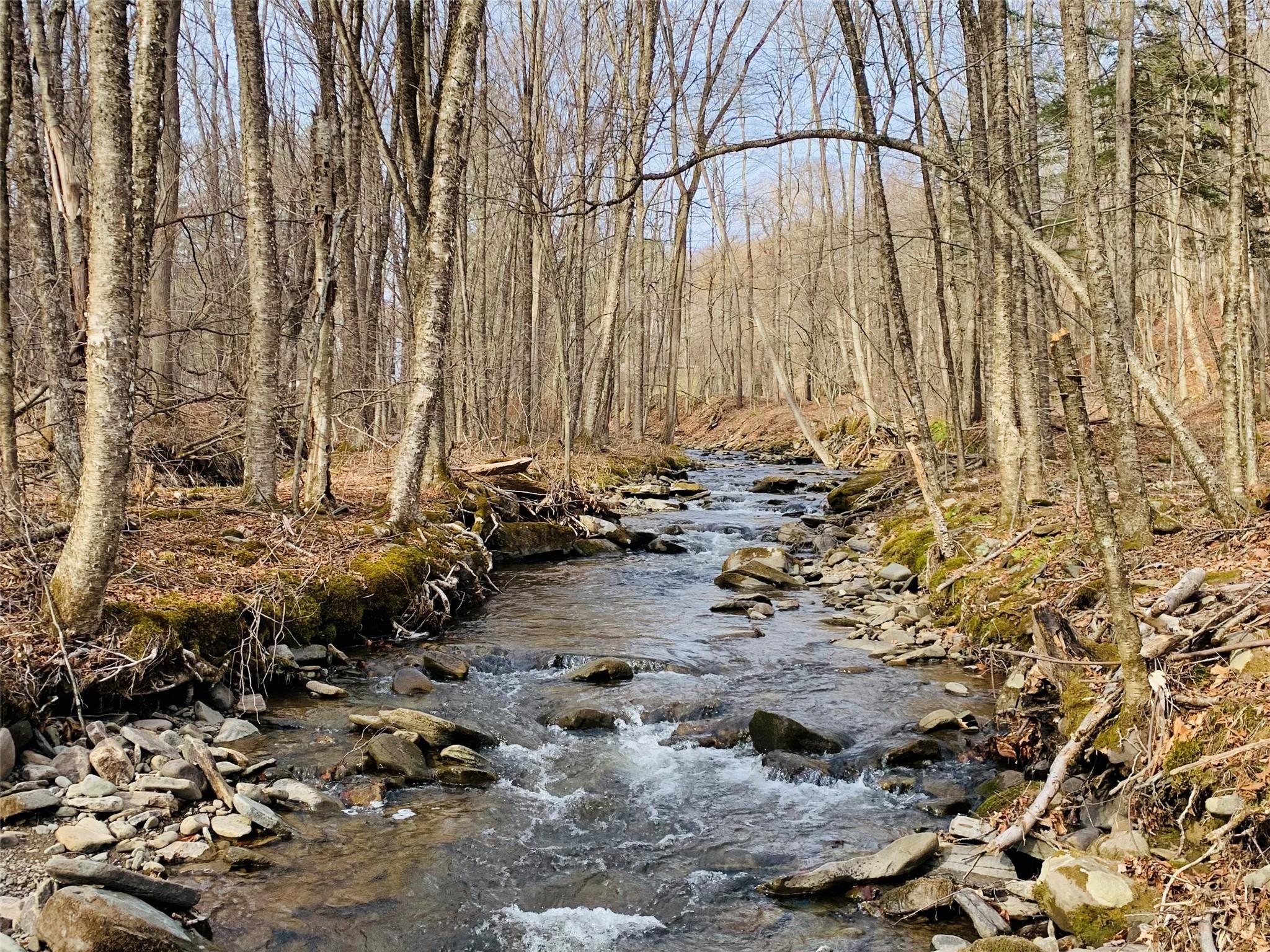 Single Family Bethlehem  Sullivan County, NY 12724, MLS-837525-31