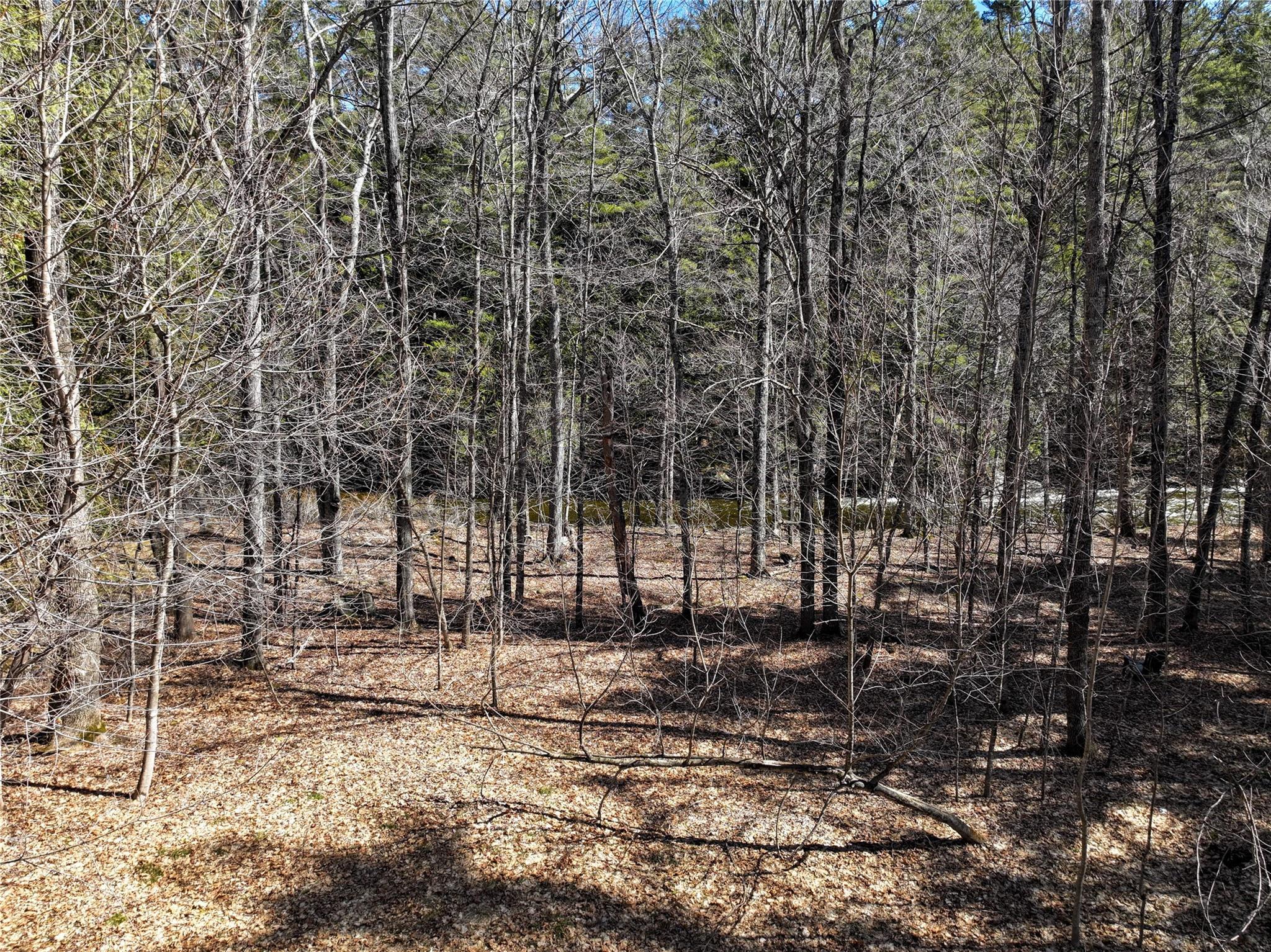 Single Family Nys Route 73  Out Of Area, NY 12942, MLS-837798-43