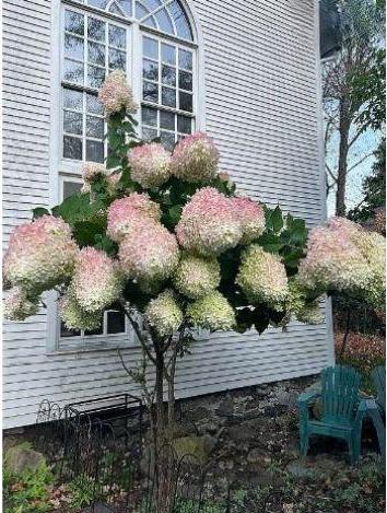 Single Family Nys Route 73  Out Of Area, NY 12942, MLS-837798-47