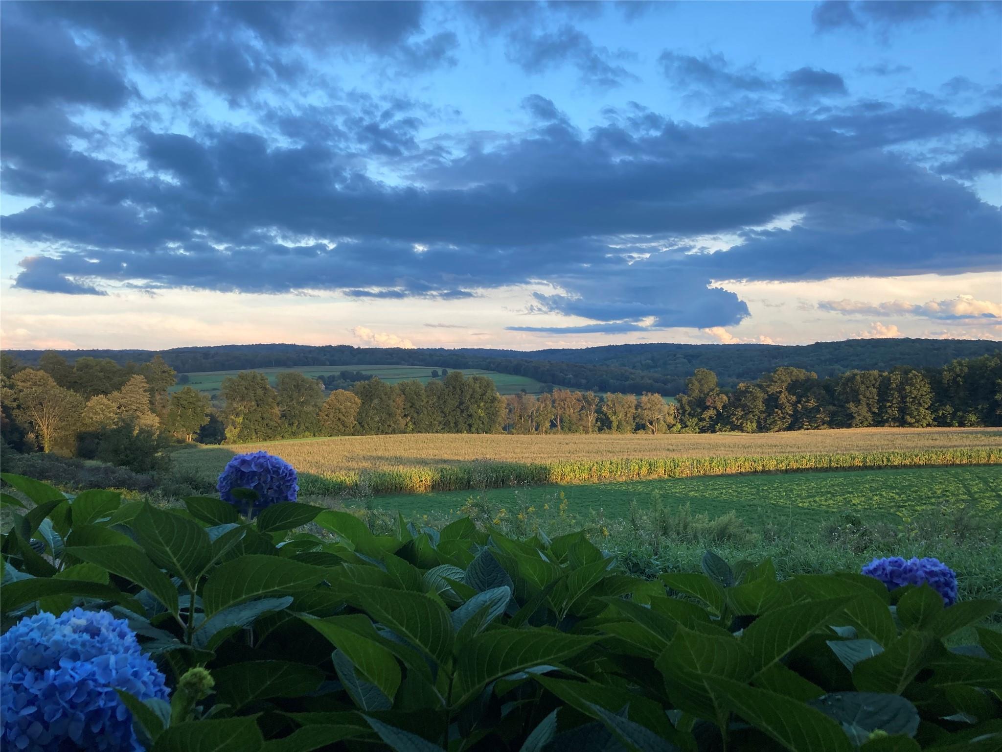 Single Family Route 82  Dutchess County, NY 12545, MLS-838070-37