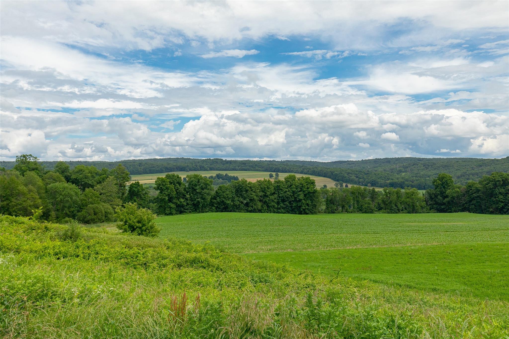 Single Family Route 82  Dutchess County, NY 12545, MLS-838070-38