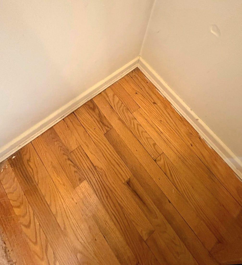 Single Family Southern  Nassau County, NY 11803, MLS-838274-24