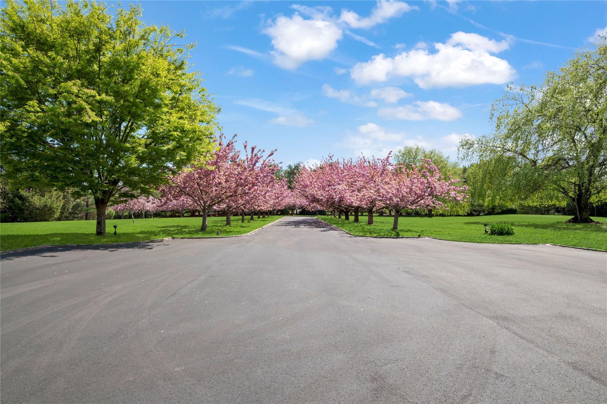 Single Family Tatem  Nassau County, NY 11568, MLS-838290-36