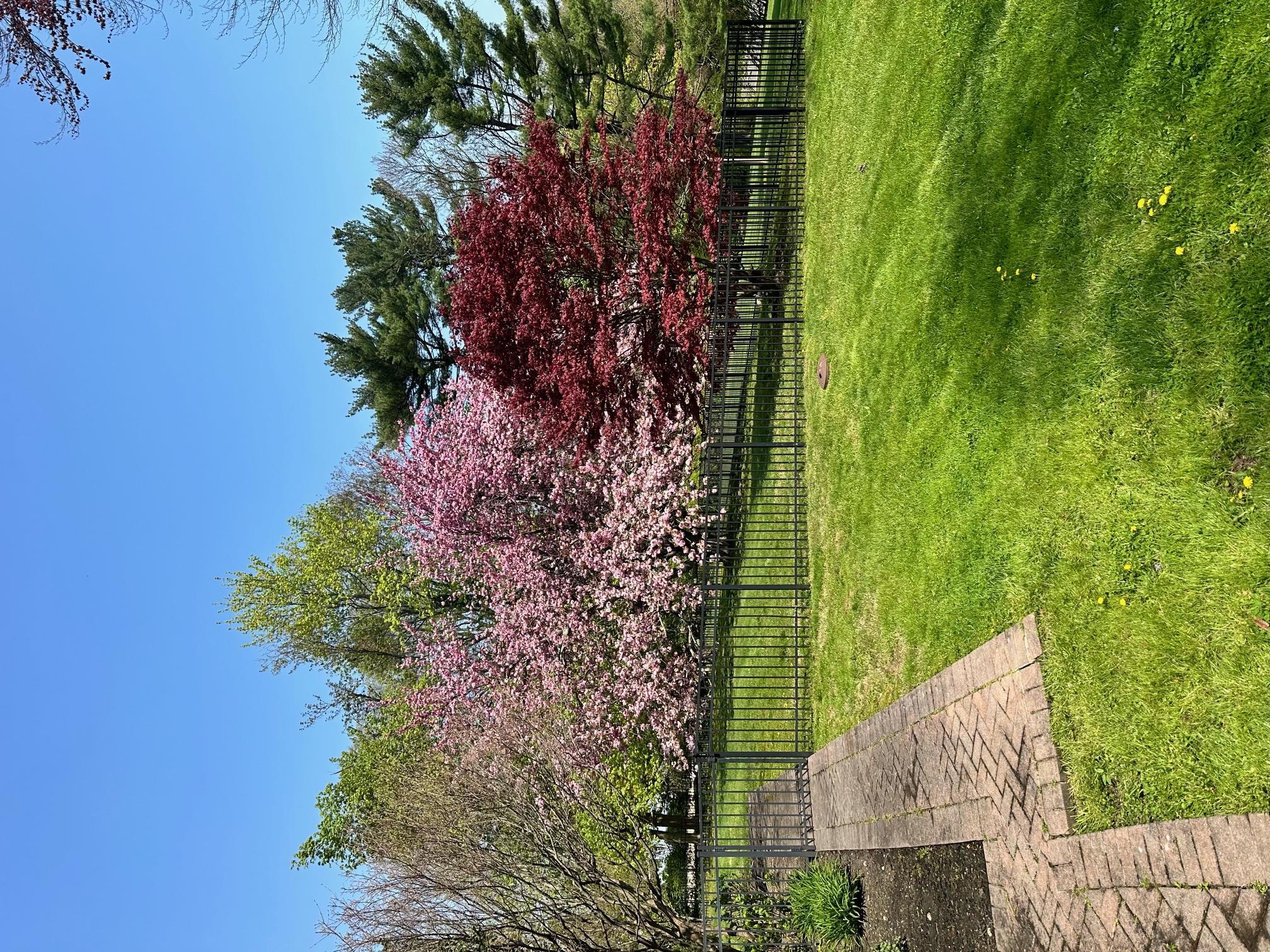 Single Family Middle Neck  Nassau County, NY 11050, MLS-838504-36