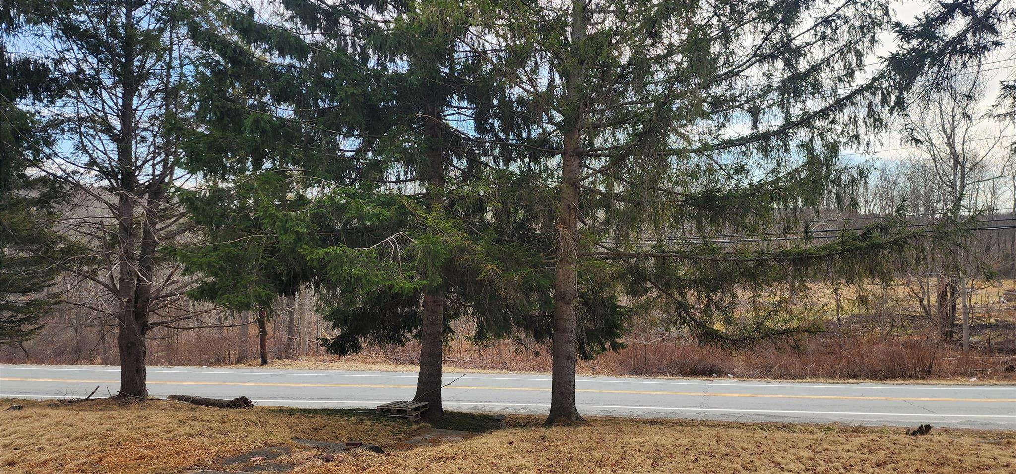 Single Family State Route 42  Sullivan County, NY 12733, MLS-838615-24