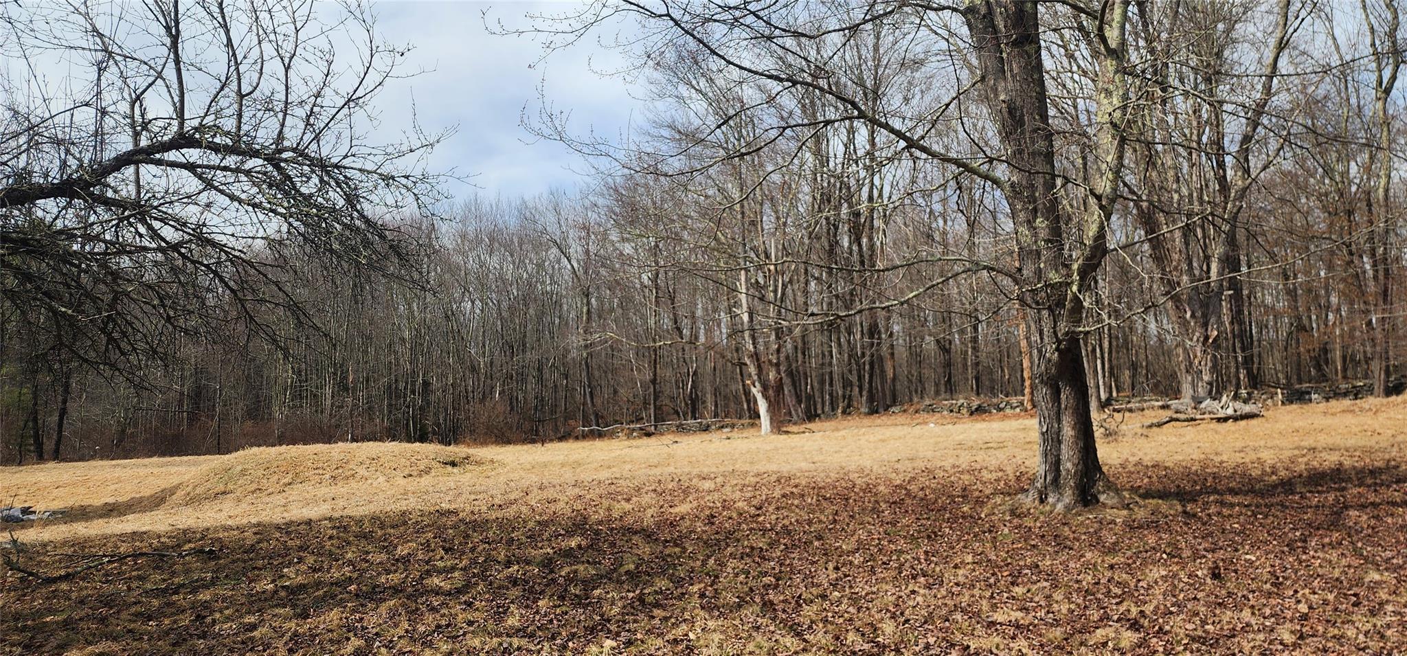 Single Family State Route 42  Sullivan County, NY 12733, MLS-838615-25