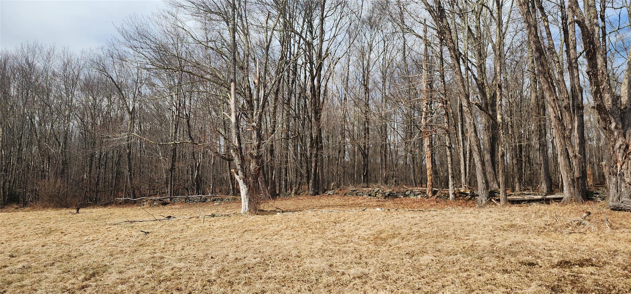 Single Family State Route 42  Sullivan County, NY 12733, MLS-838615-26