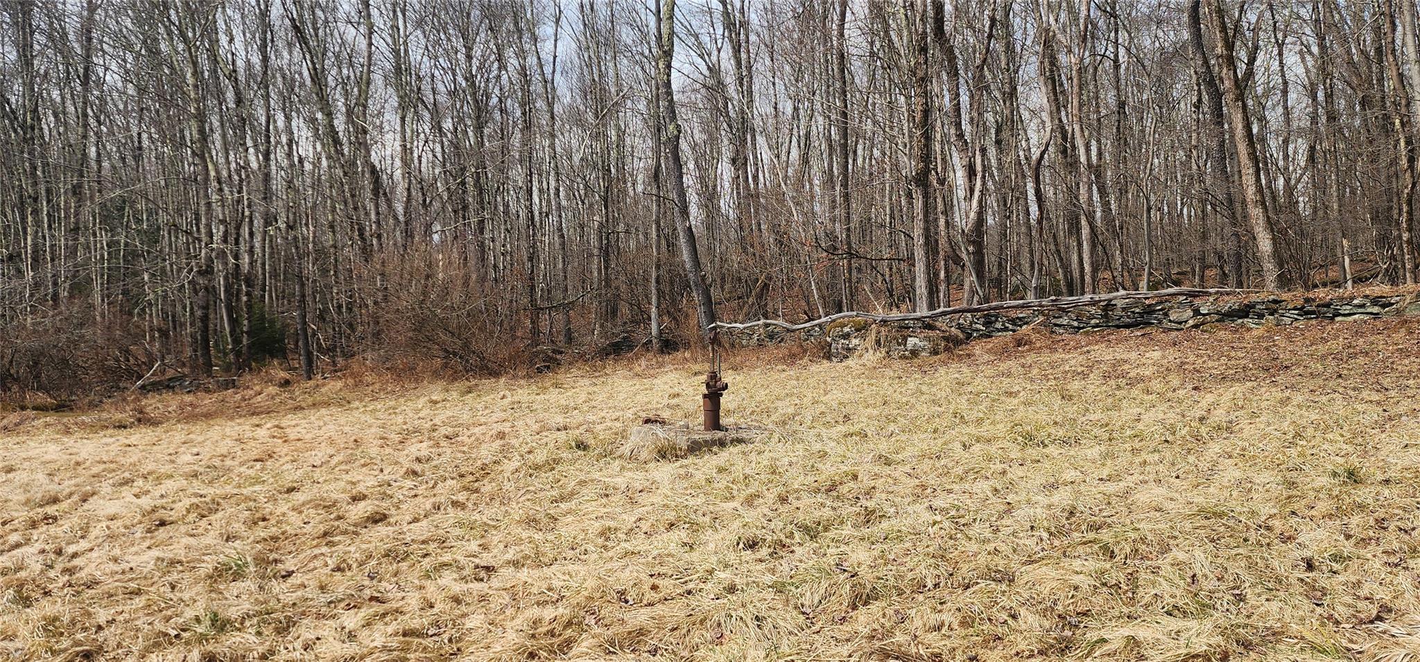 Single Family State Route 42  Sullivan County, NY 12733, MLS-838615-27