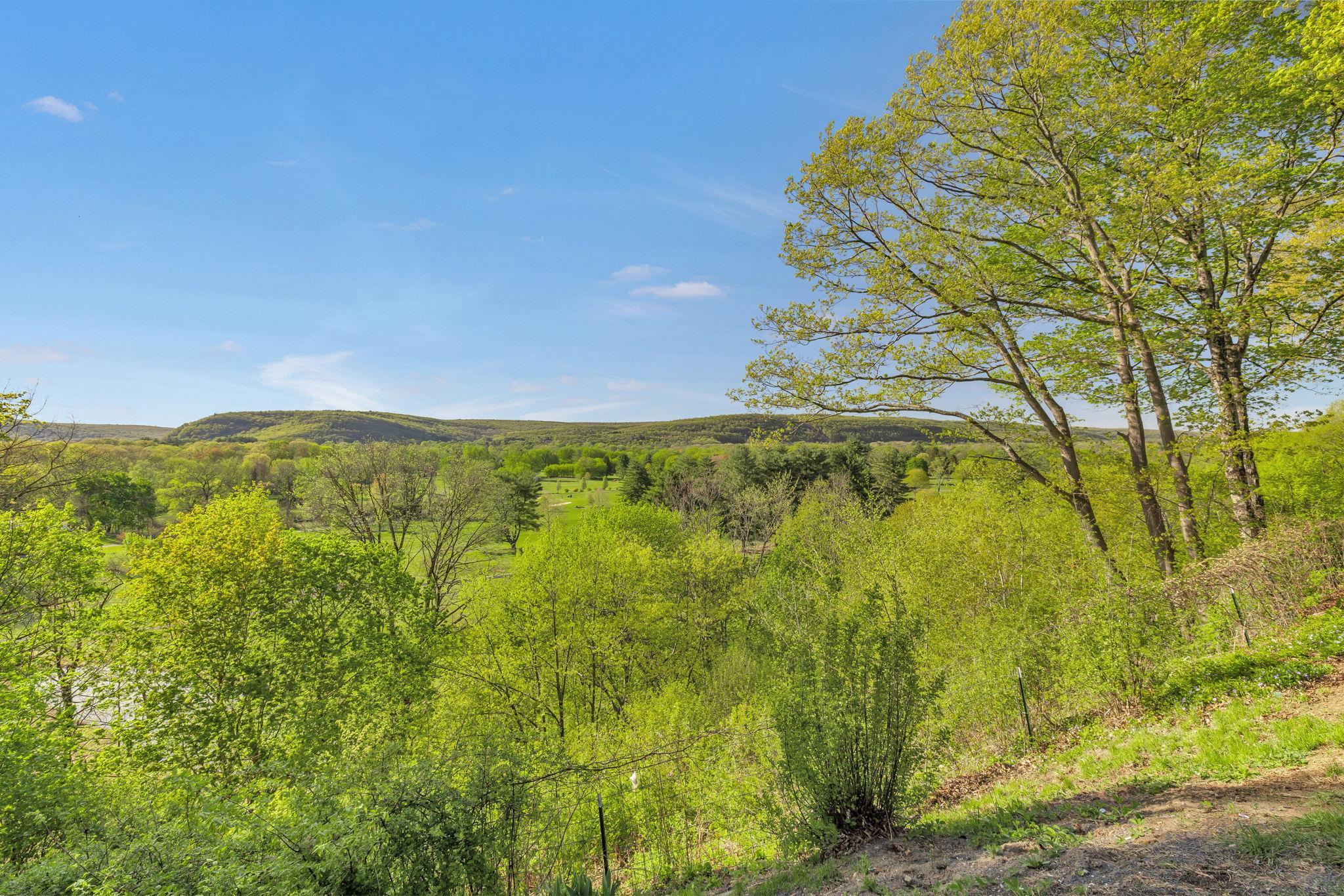 Single Family Neversink  Orange County, NY 12771, MLS-839188-35
