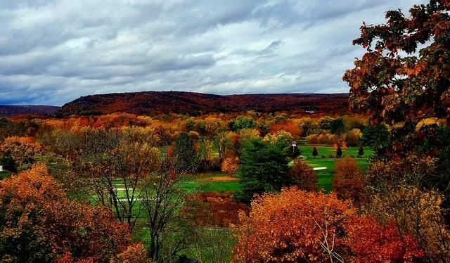 Single Family Neversink  Orange County, NY 12771, MLS-839188-38